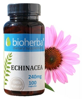 Bioherba Echinacea 240 mg 100