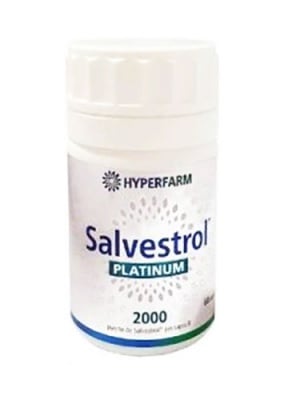 Salvesterol platinum 60 capsul