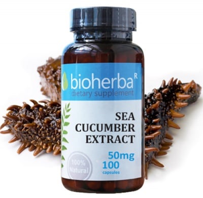 Bioherba Sea cucumber extract