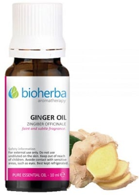 Bioherba Ginger oil 10 ml. / Б