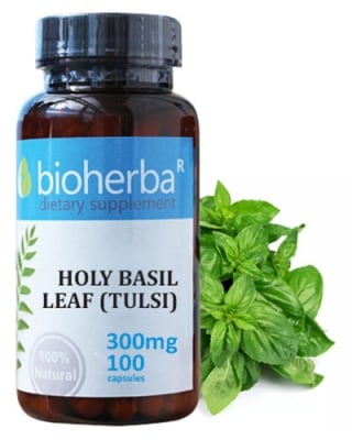 Bioherba Holy basil leaf (tuls