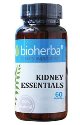 Bioherba kidney essentials 60