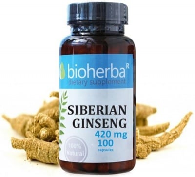 Bioherba siberian ginseng 420