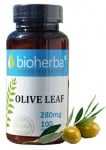 Bioherba Olive leaf 280 mg 100