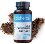 Bioherba Sea cucumber extract